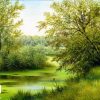 نقاشی جنگل سبز