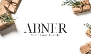 elements abner serif font family KJQHF3 2018 12 27 300x180 - سبدخرید