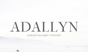 elements adallyn serif font family pack Y5XLUF 2018 11 08 300x180 - سبدخرید