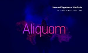 elements aliquam modern typeface webfonts 8XWHPE 2018 07 20 300x180 - سبدخرید