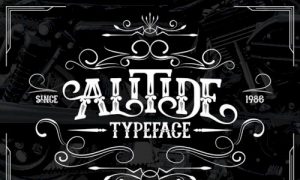 elements alitide typeface YYCSM4 2017 02 27 300x180 - سبدخرید